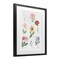 Stupell Industries Labeled Flower Varieties Framed Print Under Glass, design by Lucille Price